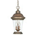Clarion  Hanging Lantern in Platinum Gold