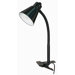 One Light 13" Goose Neck Clip-On Lamp in Black