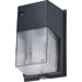 Compact Fluorescent One Light Outdoor Wall Light in Architectural Bronze