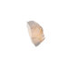 Banana Leaf Wall Sconce with Kabebe Shell