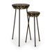 Horizon Nesting Plant Stand (Set of 2)