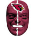 NFL Fan Face Mask