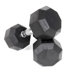 40 lbs  Rubber Encased Octagonal Dumbbells