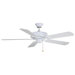 Aire Decor 5 Blade Builder Series Ceiling Fan