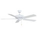 52" Builder 5 Blade Indoor/Outdoor Ceiling Fan