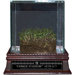 Original Yankee Stadium Freeze-Dried Grass with Glass Display Case
