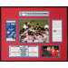 MLB 2004 World Series Ticket Frame - Game 4 Team Celebration - Busch Stadium -  Boston Red Sox