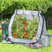 Seedhouse Jr. Polyethylene Mini Greenhouse