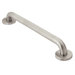 SecureMount 24" Peened Grab Bar in Stainless Steel