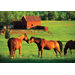 Kissing Horses Cardboard Jigsaw Puzzle
