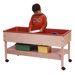Sand and Water Table with Shelf