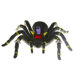 Tarantula Planet Spike