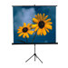 84" x 84" Tripod Screen in Matte White