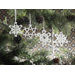 Grand Teton Snowflake Design Porcelain Ornaments (Set of 9)
