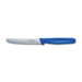 Steak Knife in Blue
