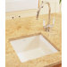 F110 15" x 15" Undermount Single Bowl Specialty Sink in White