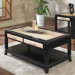 Insignia Coffee Table