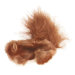 Dr. Noy's Squirrel Plush Cat Toy