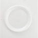 9" Foam Plate in White