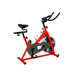 43" Indoor Cycling Bike