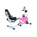 Magnetic Recumbent Bike