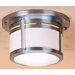 Berkeley Outdoor Flush Mount