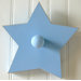 Blue Hand Painted Star Peg