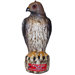 Hawk Decoy