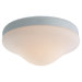 Opal Tear Drop Ceiling Fan Light Kit