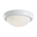 Two Light Large Disk Ceiling Fan Light Kit