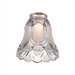 Clear and Frosted Victorian Accessory Glass Shade
