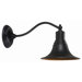 Dark Sky Outdoor Wall Lantern in Bronze
