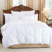 ANDESIA 650 White Goose Down Comforter