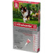 Flea Treatment for Dog 21-55 lbs (4 Pack)
