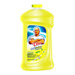 Multi-Surface Cleaner Liquid Bottle (Case of 9 Bottles)