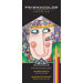 Premier Colored Pencil (Set of 24)