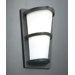 Alegria Outdoor  Wall Lantern