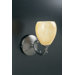 Mango  Wall Sconce in Oil Rubbed Bronze