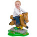 Horse Rocky