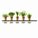 Dekosticker "Herb Pots II" - 24.8 x 35 cm