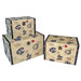 Small Trunk with Vintage Phone (Set of 3)