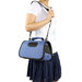 Zippered Cage Pet Carrier in Royal Blue