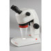 Luxeo 4Z Stereo Microscope