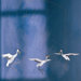 Crane Dance Mobile