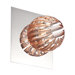 Cosmo 1 Light Wall Sconce