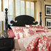Shenandoah Valley Poster Panel Headboard