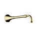 Shower Arm