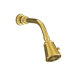 IV Georges Brass Single-function Shower Head with Arm and Flange