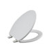 Brevia Elongated Round Toilet Seat with Q2 Advantage