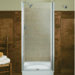 Fluence Pivot Shower Door